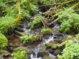 OW_Tour_2024-P5090046