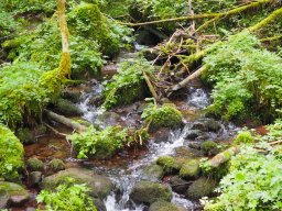 OW_Tour_2024-P5090047