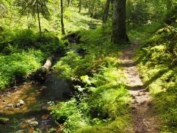 OW_Tour_2024-P5090049