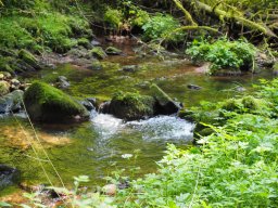 OW_Tour_2024-P5090050