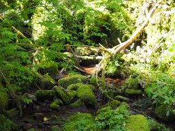 OW_Tour_2024-P5090053