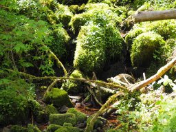 OW_Tour_2024-P5090055