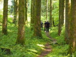 OW_Tour_2024-P5090059