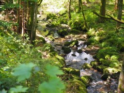 OW_Tour_2024-P5090060