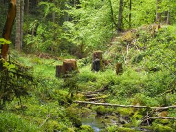 OW_Tour_2024-P5090070