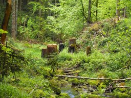 OW_Tour_2024-P5090071