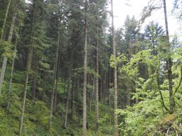 OW_Tour_2024-P5090072