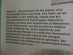 OW_Tour_2024-P5100240