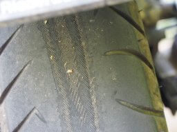 OW_Tour_2024-P5110406