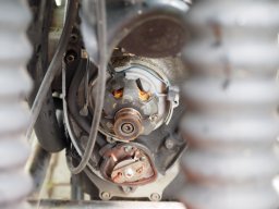 OW_Tour_2025_P5250013