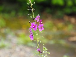 OW_Tour_2025_P5250037