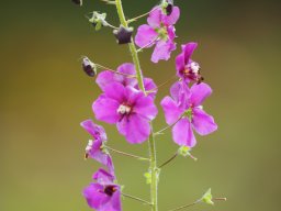 OW_Tour_2025_P5250038