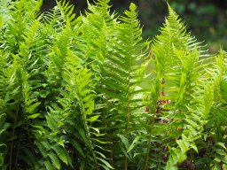 OW_Tour_2025_P5250040