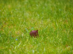 OW_Tour_2025_P5250041