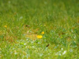 OW_Tour_2025_P5250044