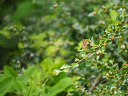 OW_Tour_2025_P5250046