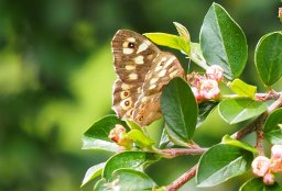 OW_Tour_2025_P5250046_Ausschnitt