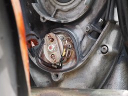 OW_Tour_2025_P5250048