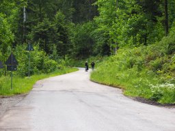 OW_Tour_2025_P5290098