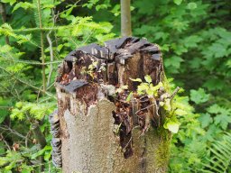 OW_Tour_2025_P5290103