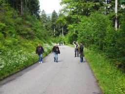 OW_Tour_2025_P5290107