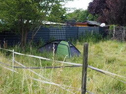 Sommerfest_2024-P6280001