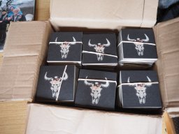 Sommerfest_2024-P6290095