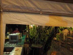 Sommerfest_2024-P6300219