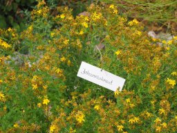 20250713_Sommerfest_P7130486