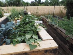 20250713_Sommerfest_P7130489