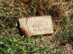 20250713_Sommerfest_P7130493