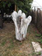 20250713_Sommerfest_P7130507