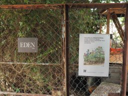 20250713_Sommerfest_P7130509