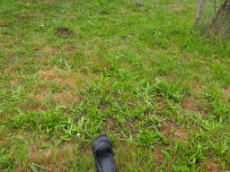 P8050012-Sepptour_2023