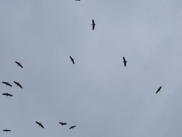 P8050017-Sepptour_2023