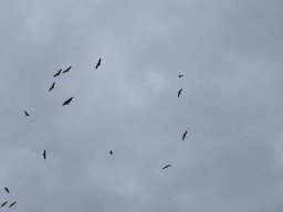 P8050021-Sepptour_2023