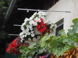 P8050025-Sepptour_2023