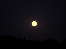 Sepptour_2024_P7200013