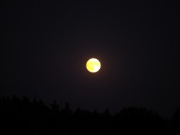 Sepptour_2024_P7200015