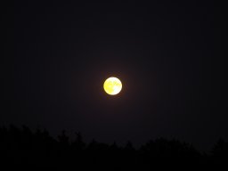 Sepptour_2024_P7200018