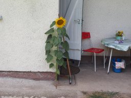 Sepptour_2024_P7210047