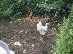 Sepptour_2024_P7220114