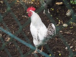 Sepptour_2024_P7220115