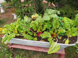 2025_Sepptour_P7270635