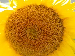 2025_Sepptour_P7270653