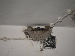 2025_Sepptour_P7270679